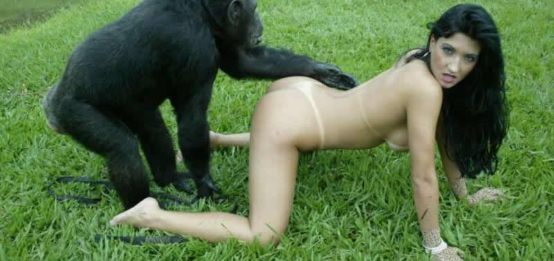 best of Pics teen sex with gorila