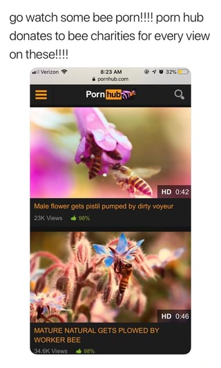 Male flower gets pistil pumped