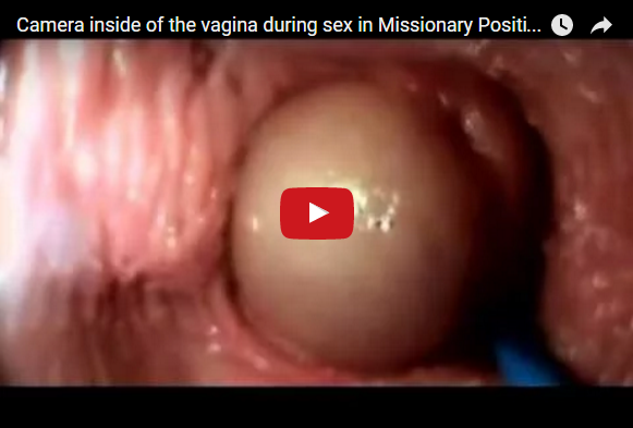 Inside vagina during sex